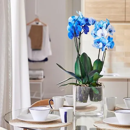 Slow Apartment *